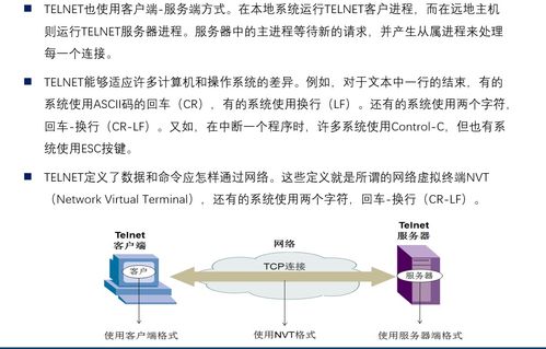 計算機網絡原理筆記 精整理 第六章 應用層